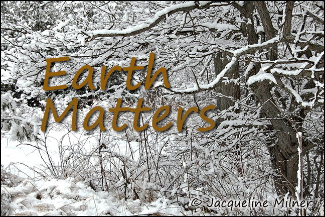 EarthMatters_03_06_13rw