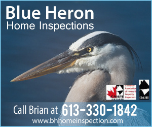Blue Heron 300x250