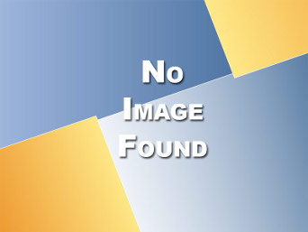 Letter to the Editor – Elaine MacDonald On Harper Canada Pension Jacking – February 1, 2012