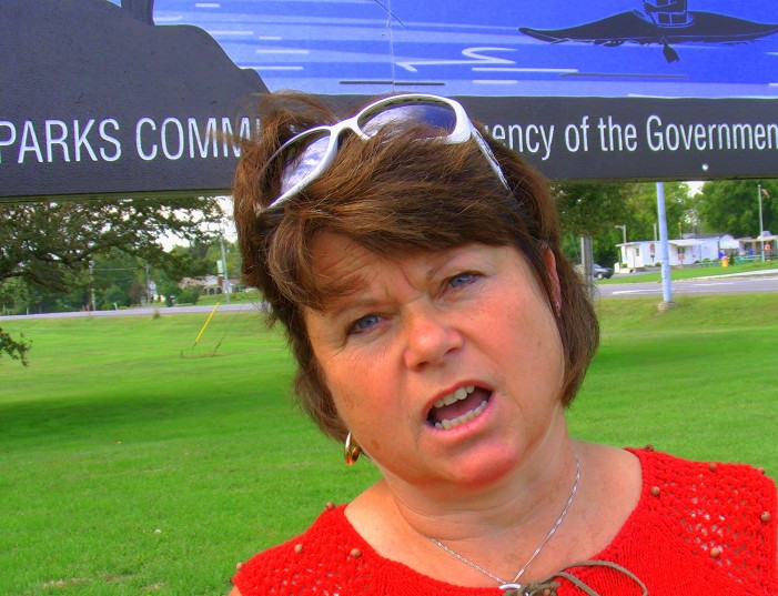 What Does South Stormont Deputy Mayor Tammy Hart Have Against Her VAG? by Jamie Gilcig