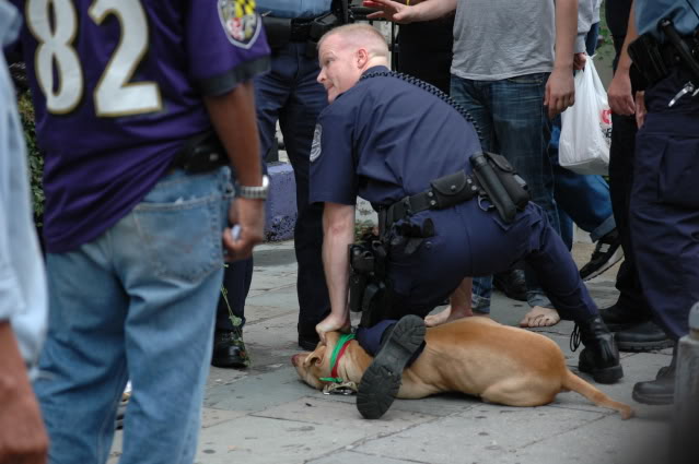 The Sad Death of Parrot the Dog at the Hands of Washington DC Police Officer Scott Fike.  Is it time for Muzzle laws for Dogs in Public?   POLL – October 30, 2011 UPDATED