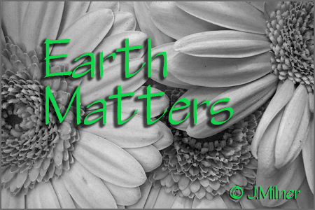 Earth Matters by Jacqueline Milner – The Magic of Composting – March 18, 2012
