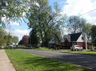 High Winds Batter Tree in Riverdale Section of Cornwall Ontario – Sunday May 12, 2013