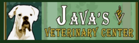 Veterinary Tourism Taking Pet Owners from Ottawa to Cornwall Over to Massena NY by Jamie Gilcig 040219