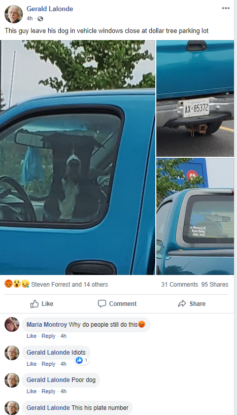 Scofflaw Leaves Dog in Truck in 30c Heat in Cornwall Ontario